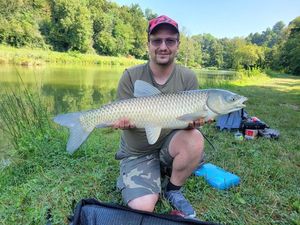 Grass Carp