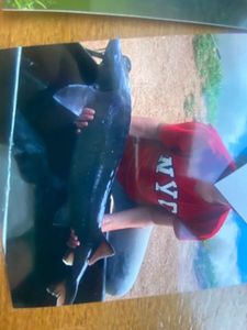 Sturgeon