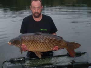 Common Carp