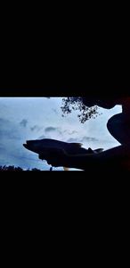 Asp