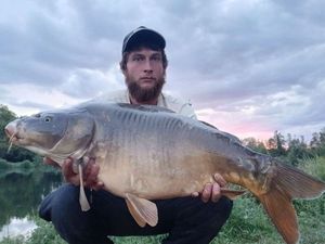 Mirror Carp