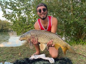 Common Carp