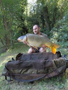 Common Carp