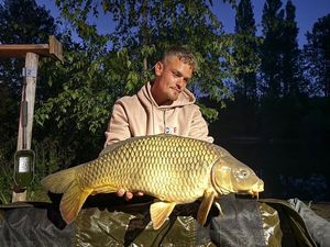 Common Carp