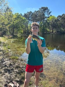 Largemouth Bass