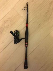 DAIWA ninja 2 m