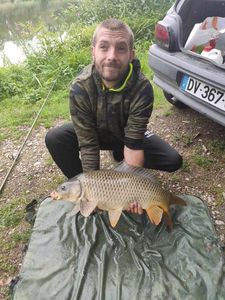 Common Carp