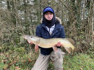 Northern Pike