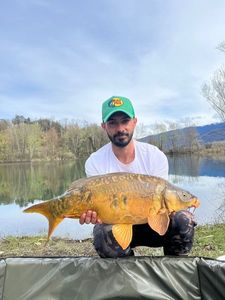 Leather Carp
