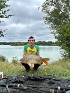 Common Carp