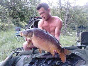 Mirror Carp