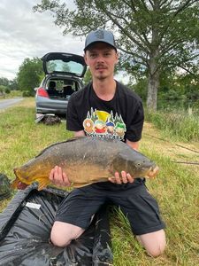 Mirror Carp