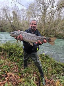 Cutthroat Trout