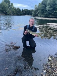 Northern Pike
