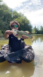 Smallmouth Bass