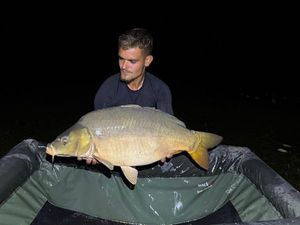 Mirror Carp
