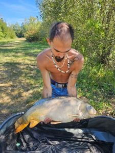 Mirror Carp