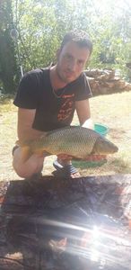 Common Carp