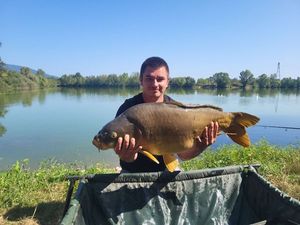 Mirror Carp
