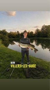Northern Pike