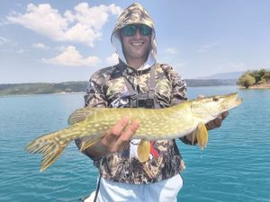 Northern Pike