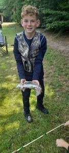 Cutthroat Trout