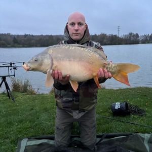Mirror Carp