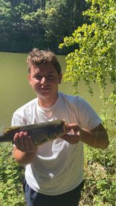 Smallmouth Bass