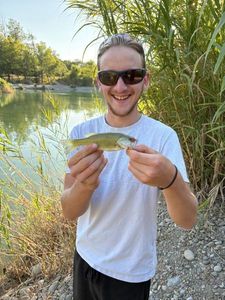 Smallmouth Bass