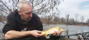 Mirror Carp