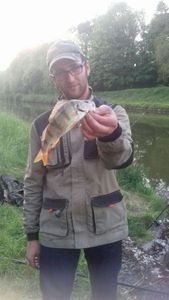 European Perch