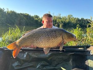 Common Carp
