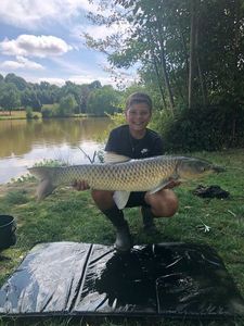 Grass Carp