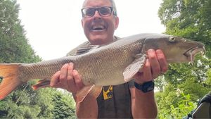 Barbel