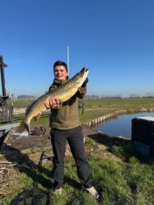 Northern Pike