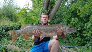 Northern Pike