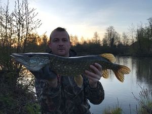 Northern Pike
