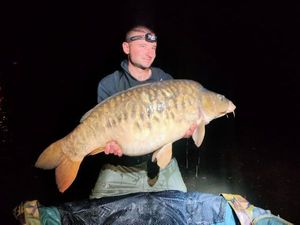 Mirror Carp
