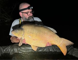 Mirror Carp