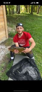 Tench