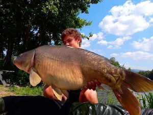 Mirror Carp
