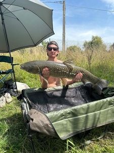 Grass Carp