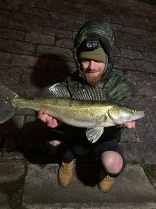Zander
