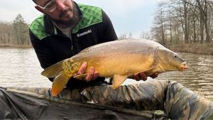 Mirror Carp