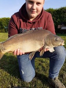 Mirror Carp