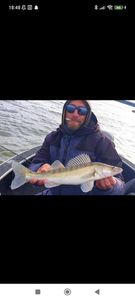 Zander