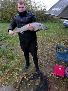 Sturgeon
