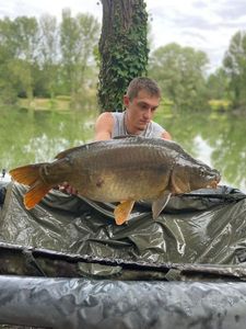Mirror Carp