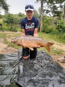 Mirror Carp