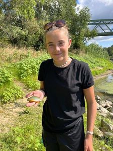 Green Sunfish